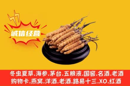 右玉县回收冬虫夏草
